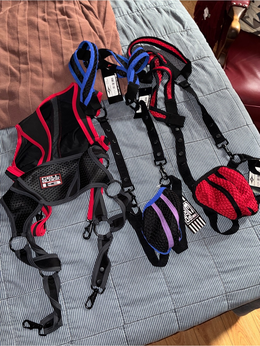 Cell Block 13 adjustable harness, and jockstraps sets